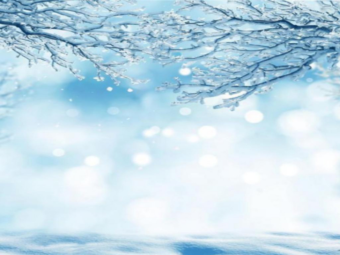 Winter Wonders Texture