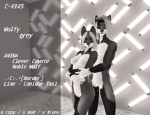 Wolfy grey