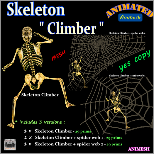 Skeleton Climber 
