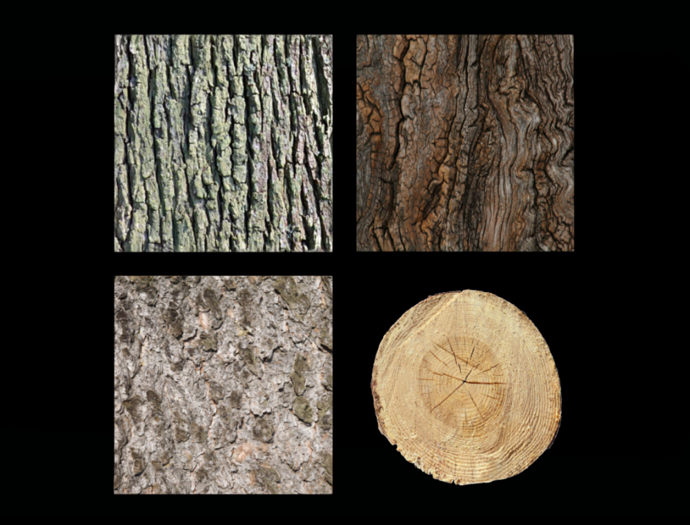 *6KW* FULL PERM Textures (Coniferous Trees)