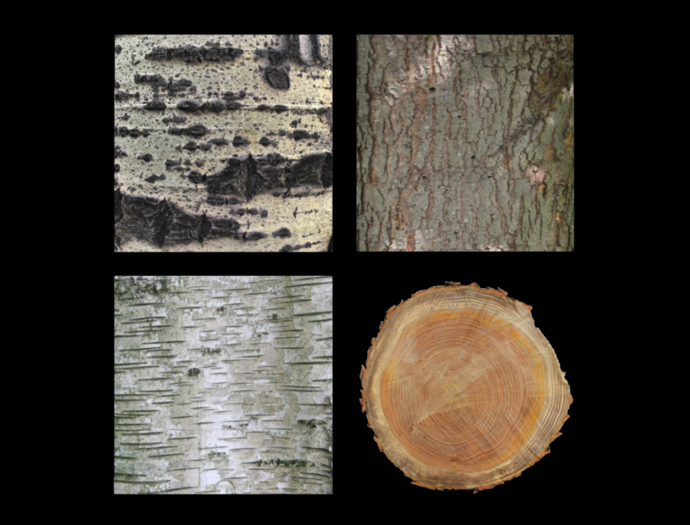 *6KW* FULL PERM Textures (Deciduous Trees)