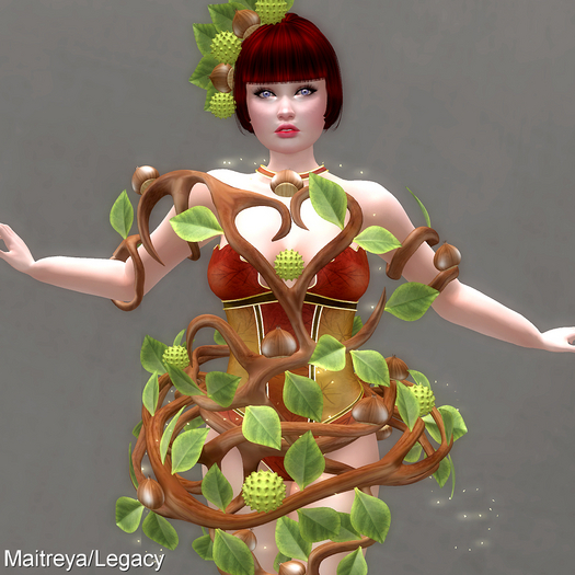 * Chestnut * Outfit 1 *