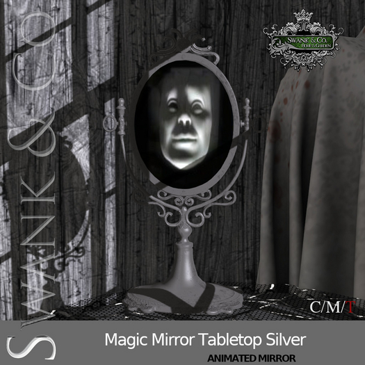 Swank & Co. Magic Mirror Tabletop Silver 