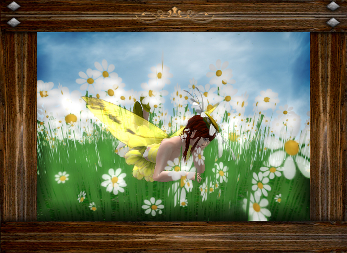 Mae Grass Field w/flowers (daisies)