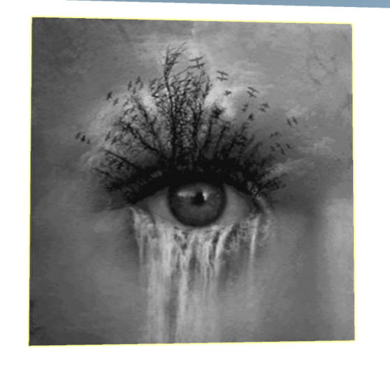 EYE Waterfall GIF Board