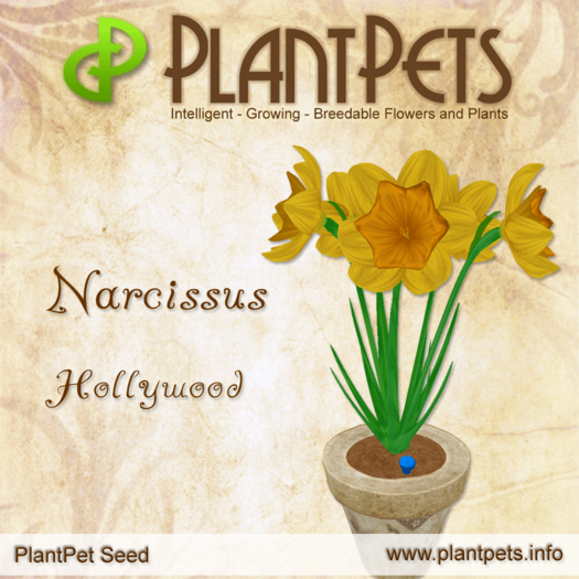 PlantPet Seed [Narcissus *Hollywood*]