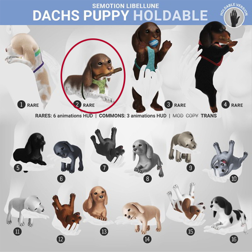 2. SEmotion Libellune Dachs Puppy Holdable RARE