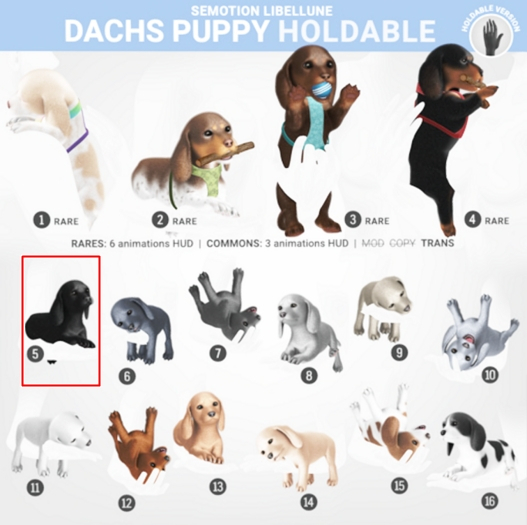 5. SEmotion Libellune Dachs Puppy Holdable