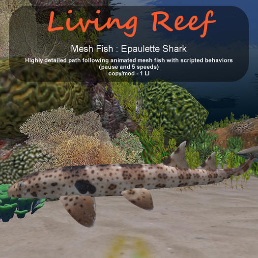 Inochi Reef : Mesh Fish - Epaulette Shark