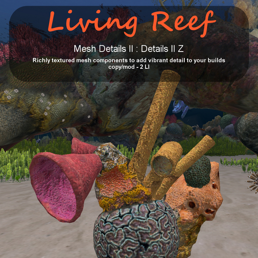 Inochi Reef - Details II Z