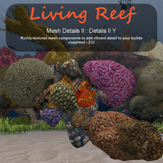 Inochi Reef - Details II Y
