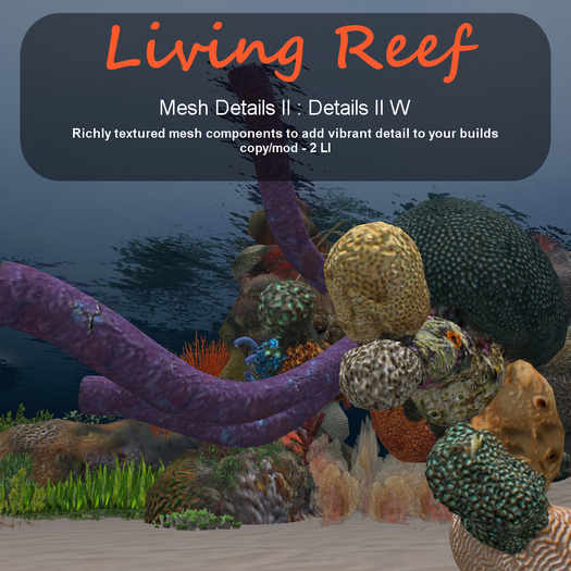 Inochi Reef - Details II W