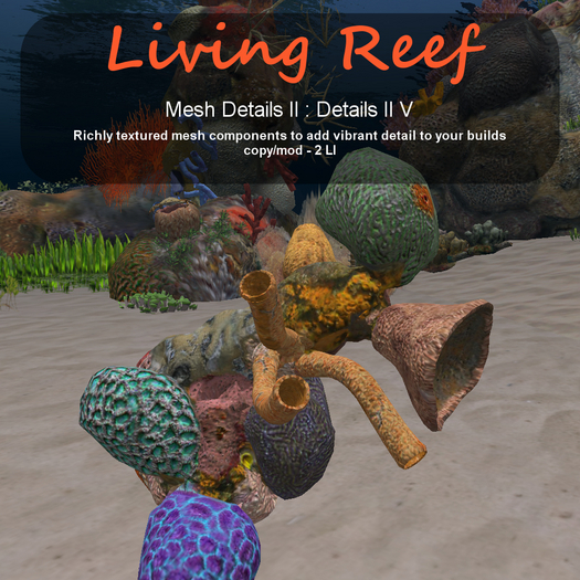 Inochi Reef - Details II V