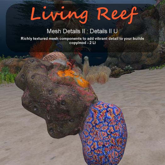 Inochi Reef - Details II U