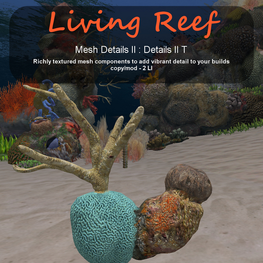 Inochi Reef - Details II T