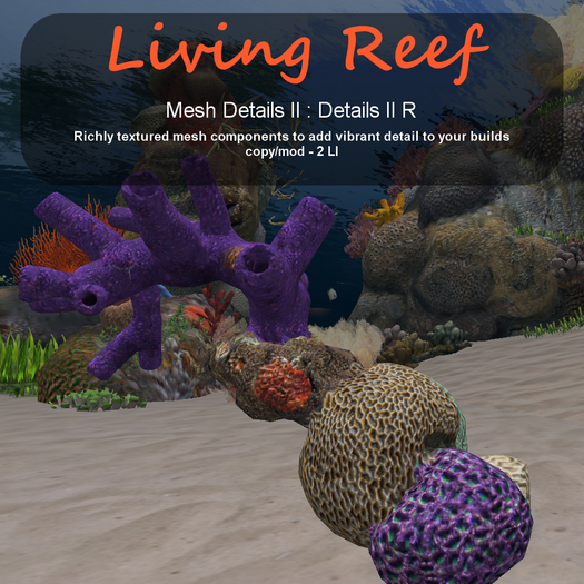 Inochi Reef - Details II R