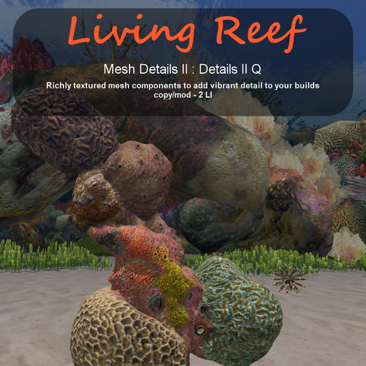Inochi Reef - Details II Q