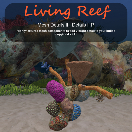 Inochi Reef - Details II P