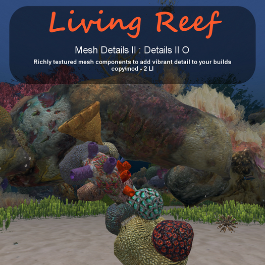 Inochi Reef - Details II O