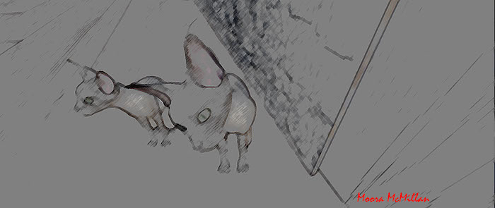 TWO CATS
