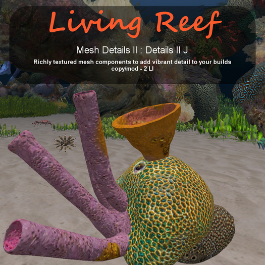 Inochi Reef - Details II J