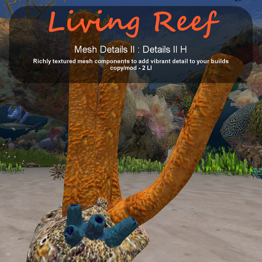Inochi Reef - Details II H