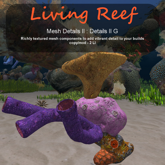 Inochi Reef - Details II G