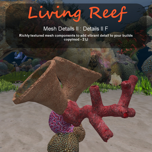 Inochi Reef - Details II F
