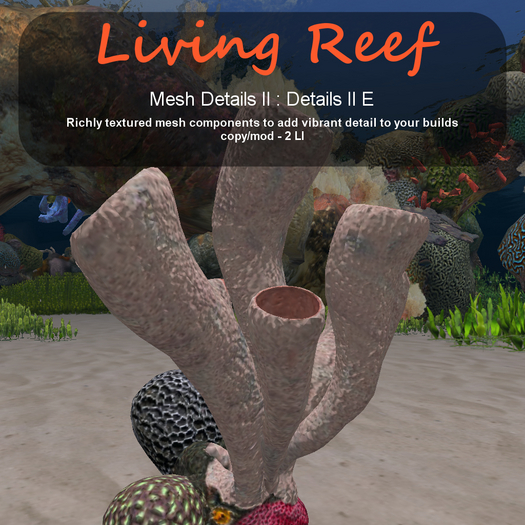 Inochi Reef - Details II E