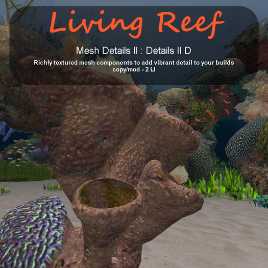 Inochi Reef - Details II D