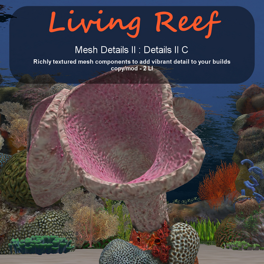 Inochi Reef - Details II C