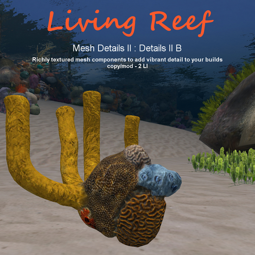 Inochi Reef - Details II B