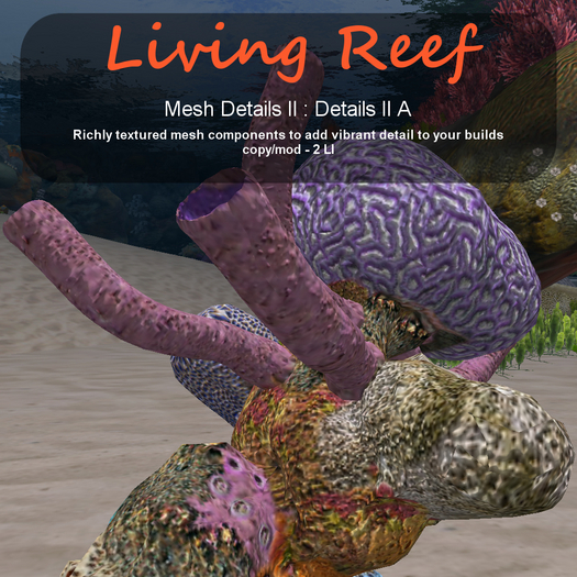 Inochi Reef - Details II A