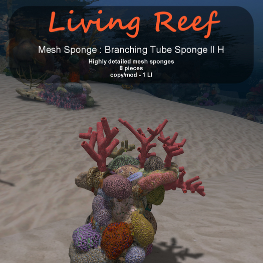 Inochi Reef - Branching Tube Sponge II H