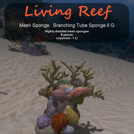 Inochi Reef - Branching Tube Sponge II G