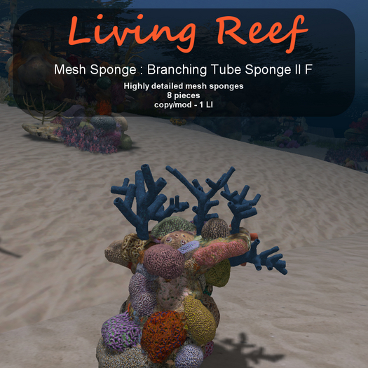 Inochi Reef - Branching Tube Sponge II F