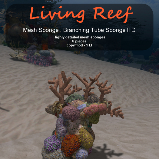 Inochi Reef - Branching Tube Sponge II D