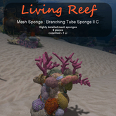Inochi Reef - Branching Tube Sponge II C