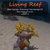 Inochi Reef - Branching Tube Sponge II B