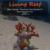 Inochi Reef - Branching Tube Sponge II A