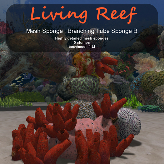 Inochi Reef - Branching Tube Sponge B