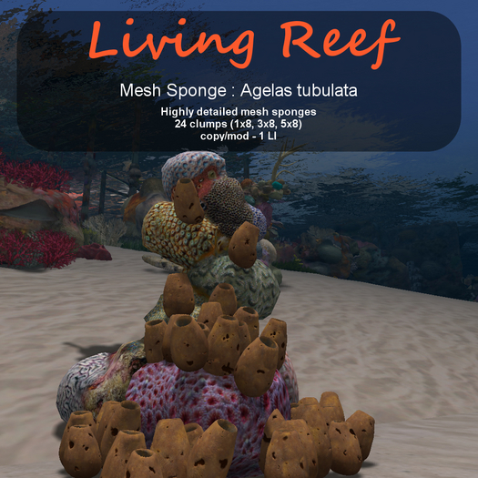 Inochi Reef - Mesh Sponge : Agelas tubulata