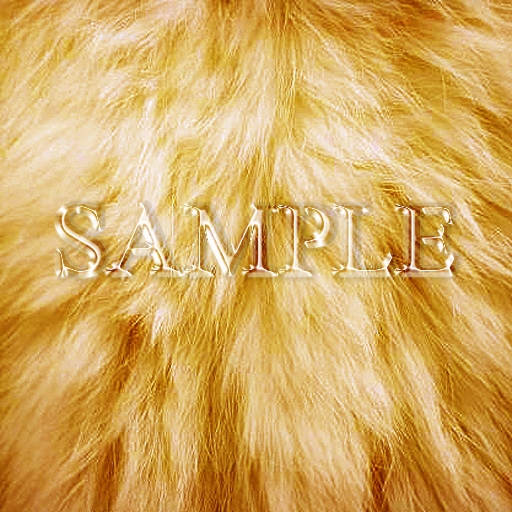 Zoy Texture [ Natural Fur 04 ] Camel