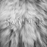 Zoy Texture [ Natural Fur 04 ] Gray