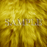 Zoy Texture [ Natural Fur 04 ] Sun