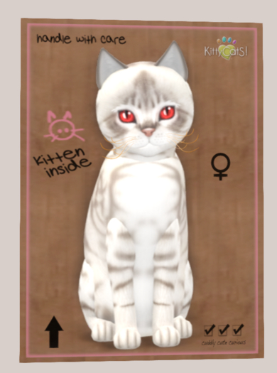 KittyCats Box -  Australian Mist - Blue Marble - Size - Normal