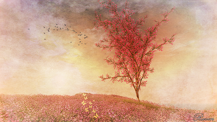 Summer Fields - Artwork by Raven Arcana