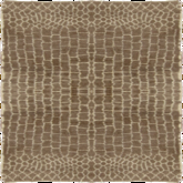 Aereal Vintage Rug 2