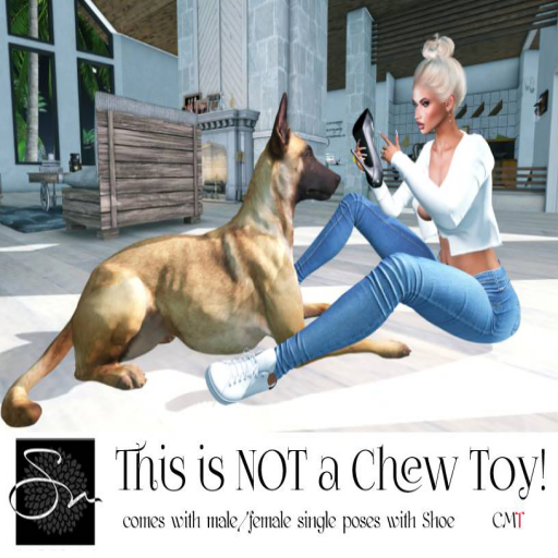 **SN~ This is NOT a Chew Toy