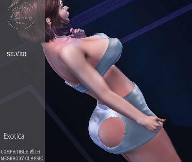 [Flaneur] Exotica Set Silver Meshbody Classic